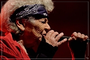 NIK_74649 Little Bob Blues Bastards 19-05-2018 (Zz) (p)